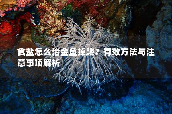 食鹽怎么治金魚掉鱗？有效方法與注意事項解析